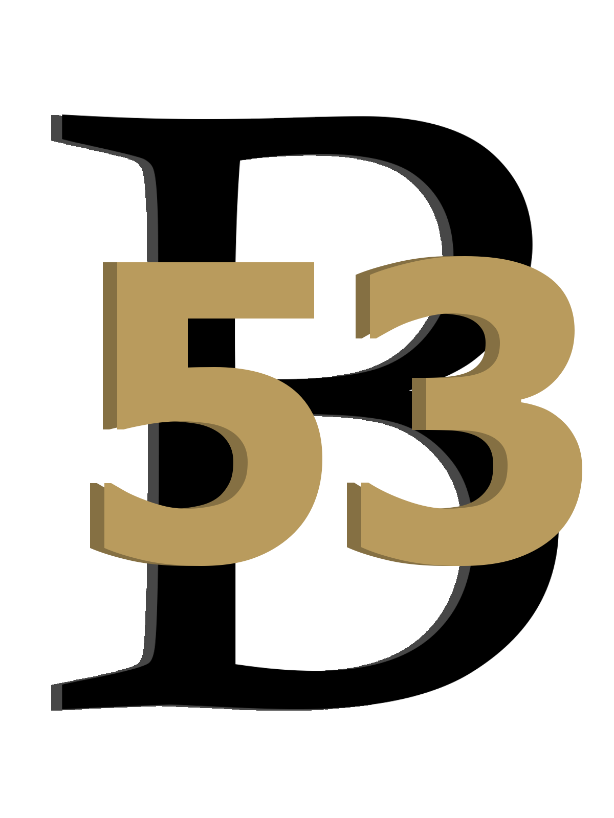 Bourbonnais SD 53's Logo