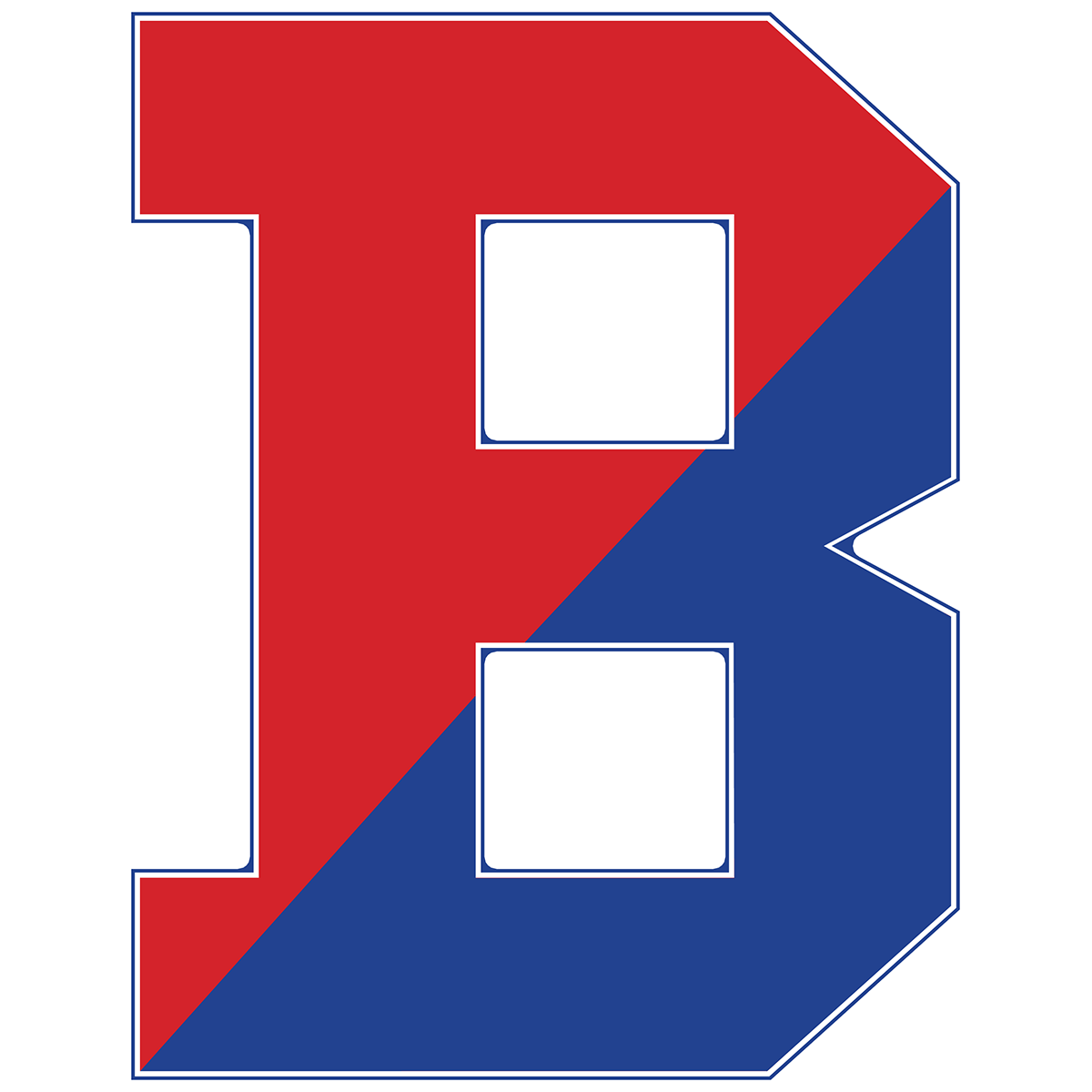 Binghamton City School District's Logo