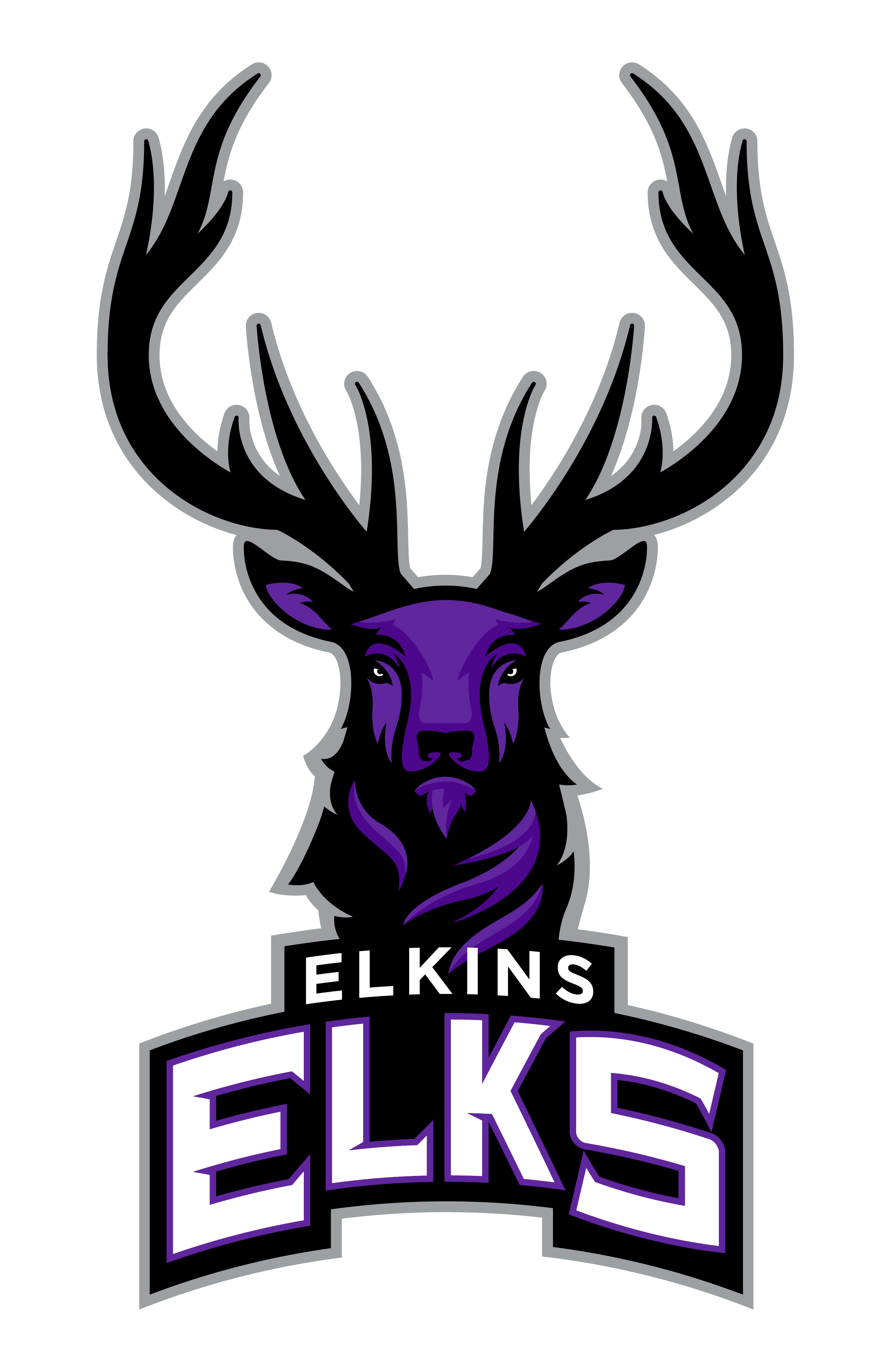 Elkins School District's Logo