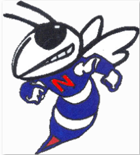 Nashville CHSD 99's Logo