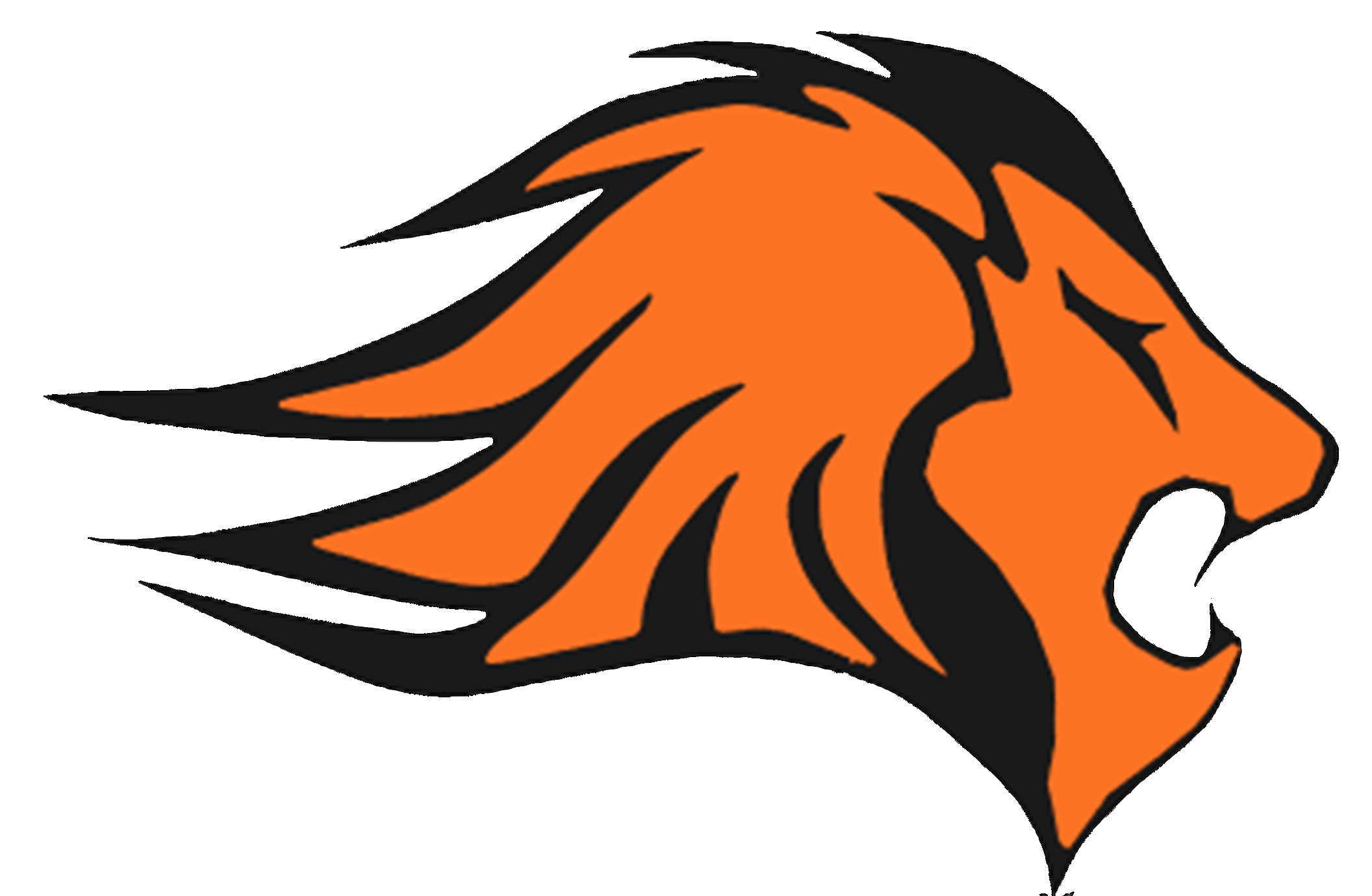 Wellsville Central School District's Logo