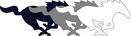 Ridgeview CUSD 19