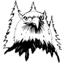 Bolton Central School District's Logo