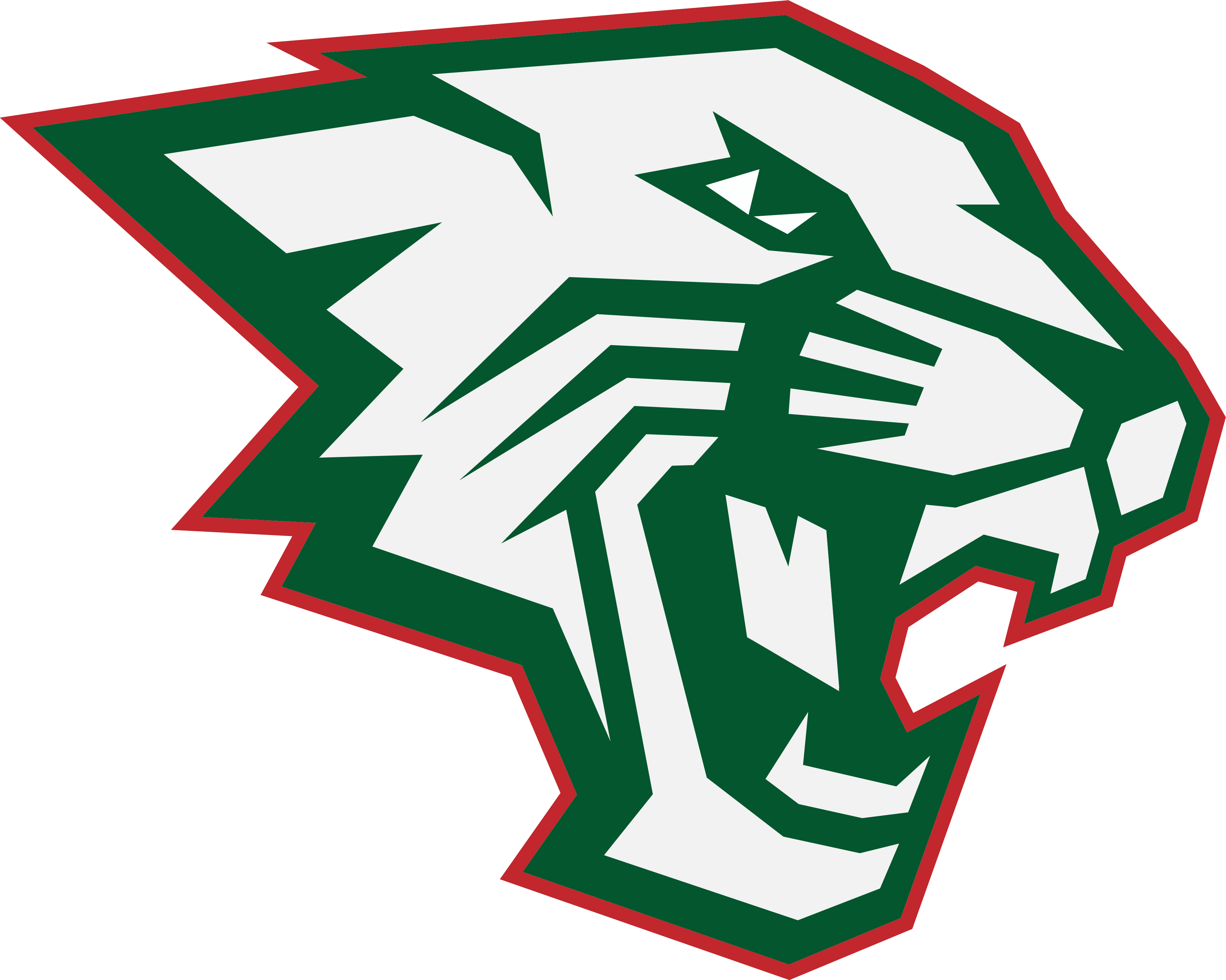 Salem Community High School #600's Logo