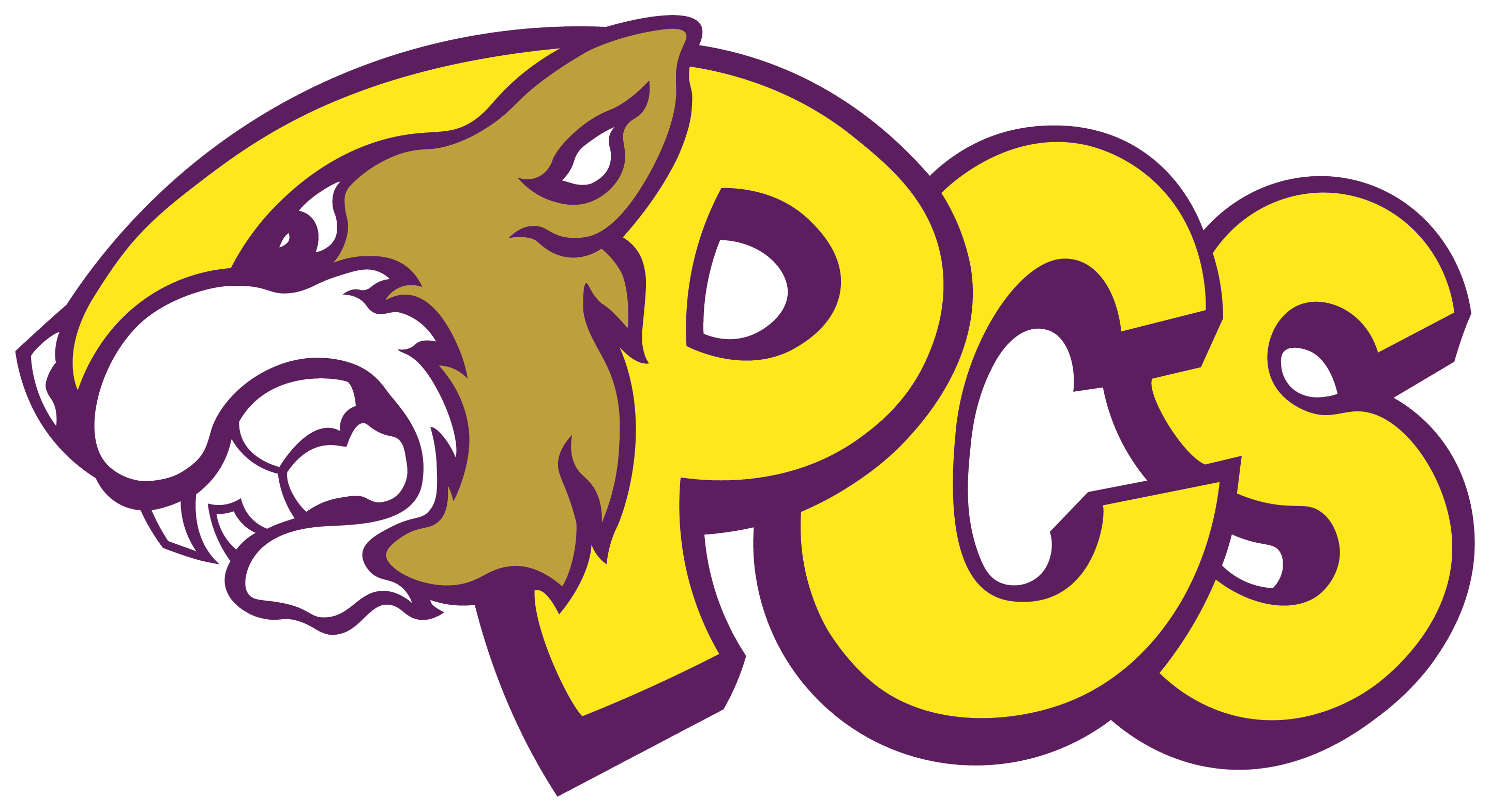 Pavilion Central School District's Logo