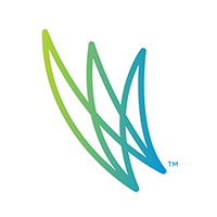 Wordflight's Logo