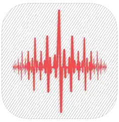 Vibration Meter's Logo