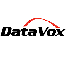 DataVox's Logo