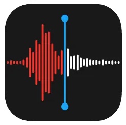 Voice Memos's Logo