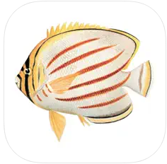 ThatQuiz's Logo