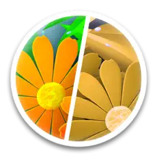 Sim Daltonism's Logo