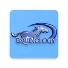Equine Anatomy Learning Aid's Logo