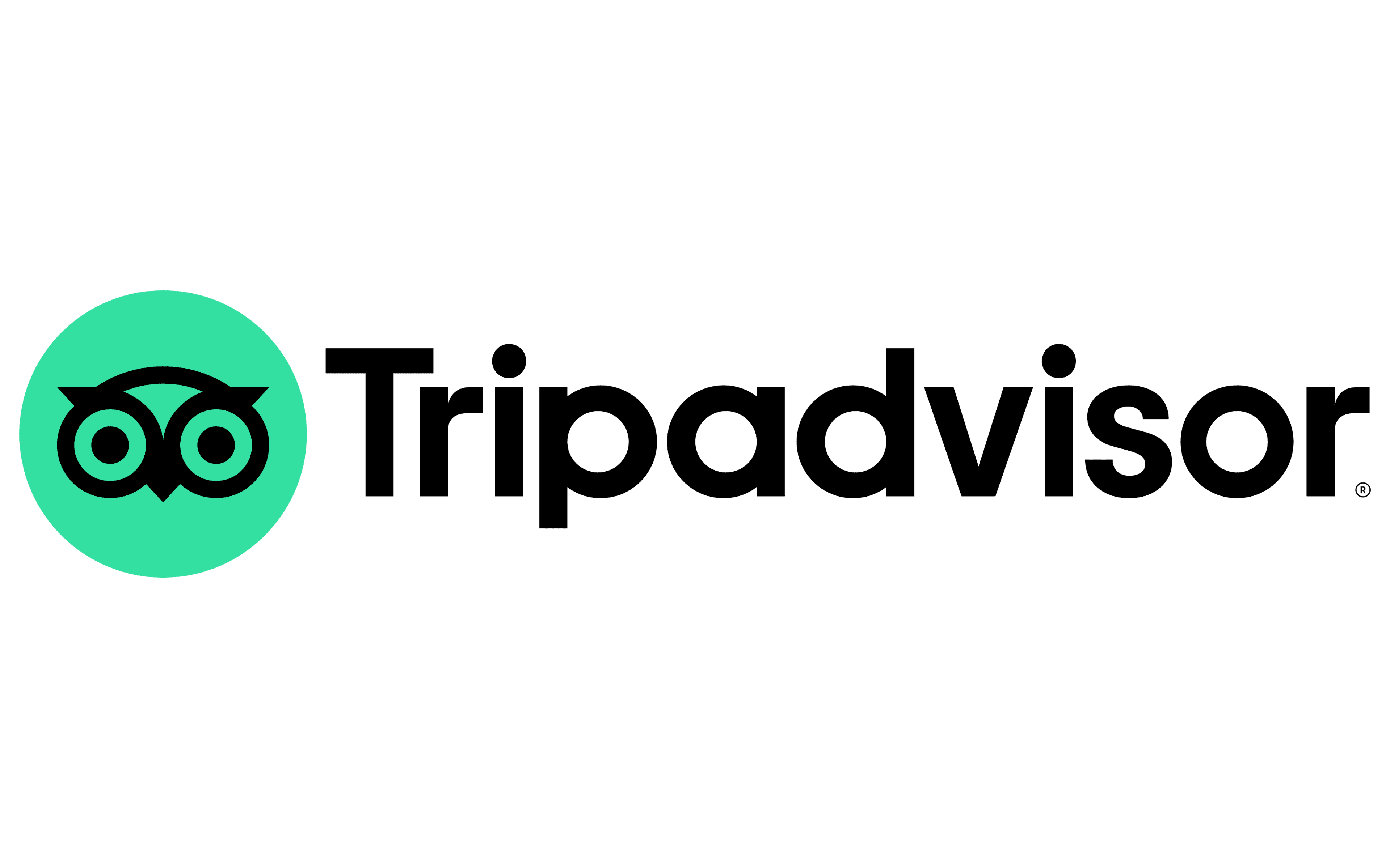 Tripadvisor's Logo