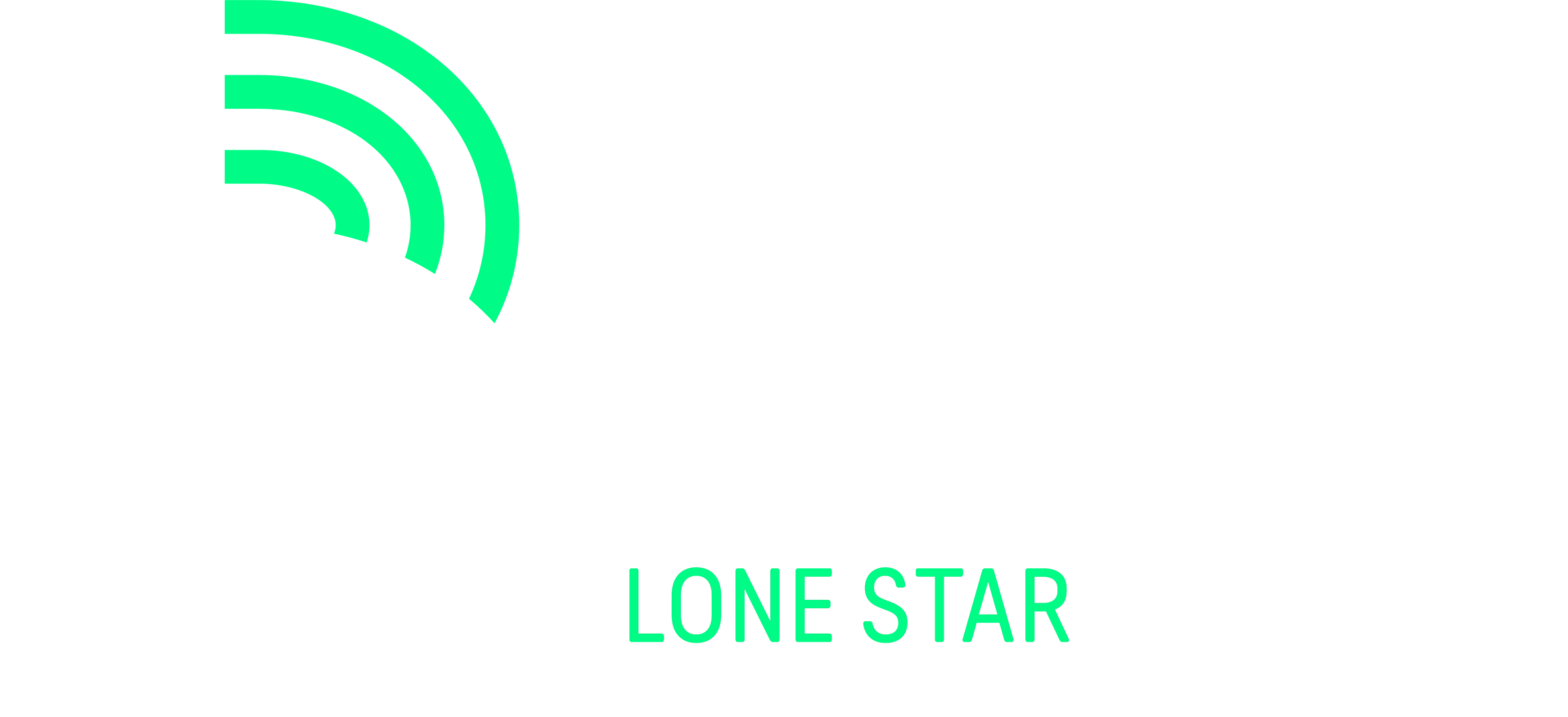 Big Brothers Big Sisters Lone Star's Logo