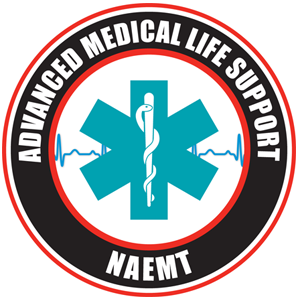 AMLS's Logo