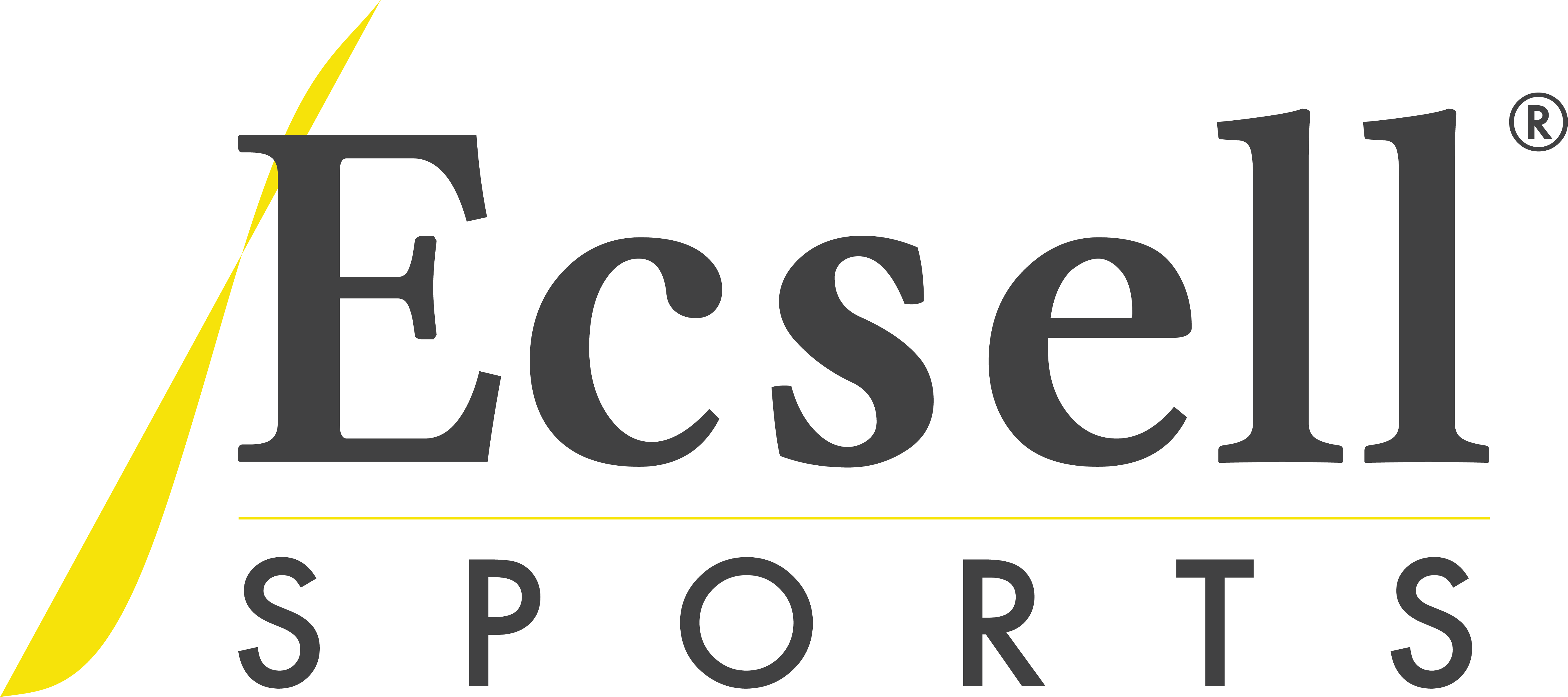 EcSell Sports's Logo